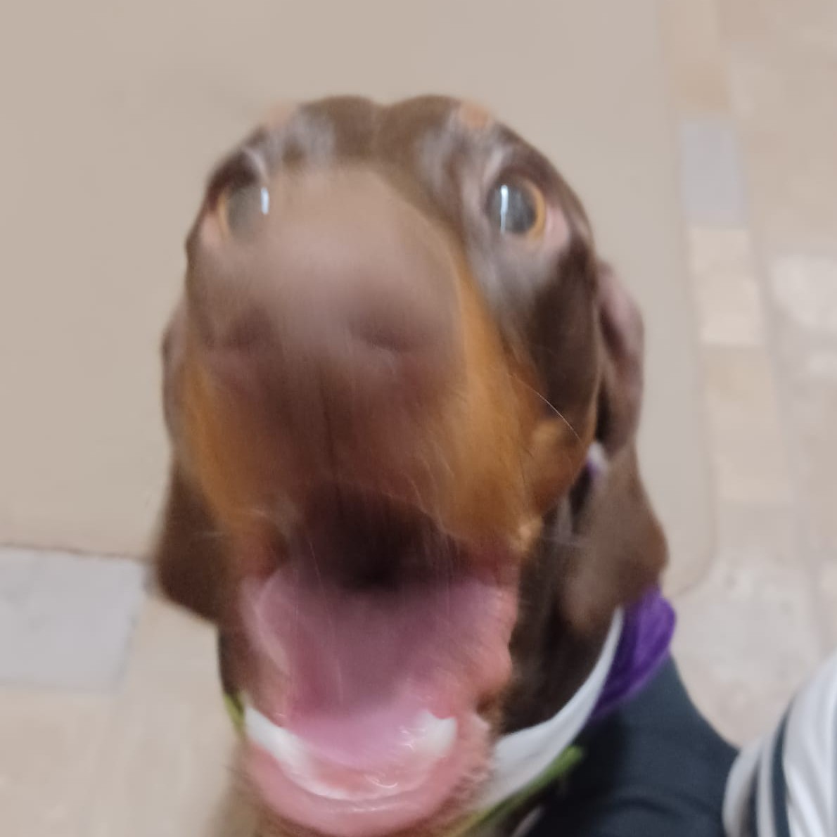 jarrad's profile picture