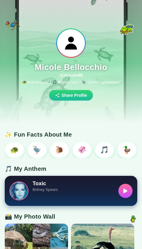 Vibrant Social Profile