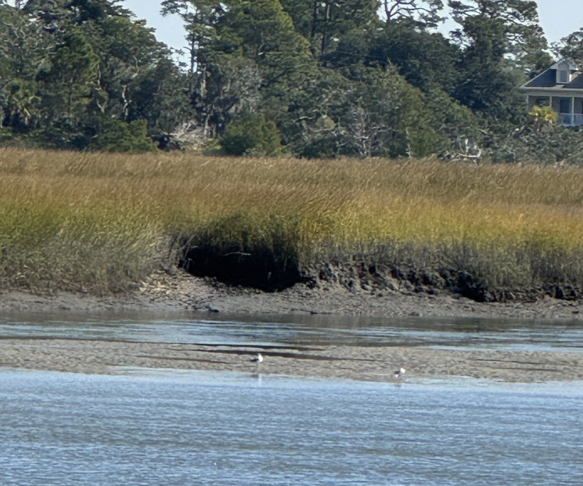 kchc's profile picture