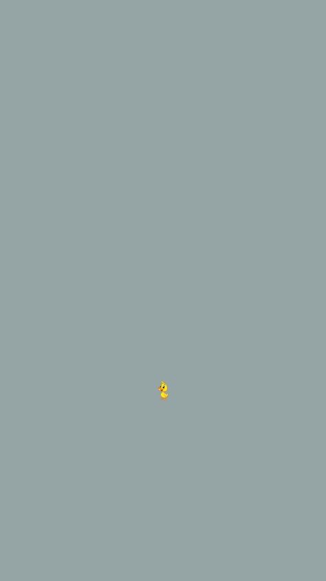Duck Crossing Lines