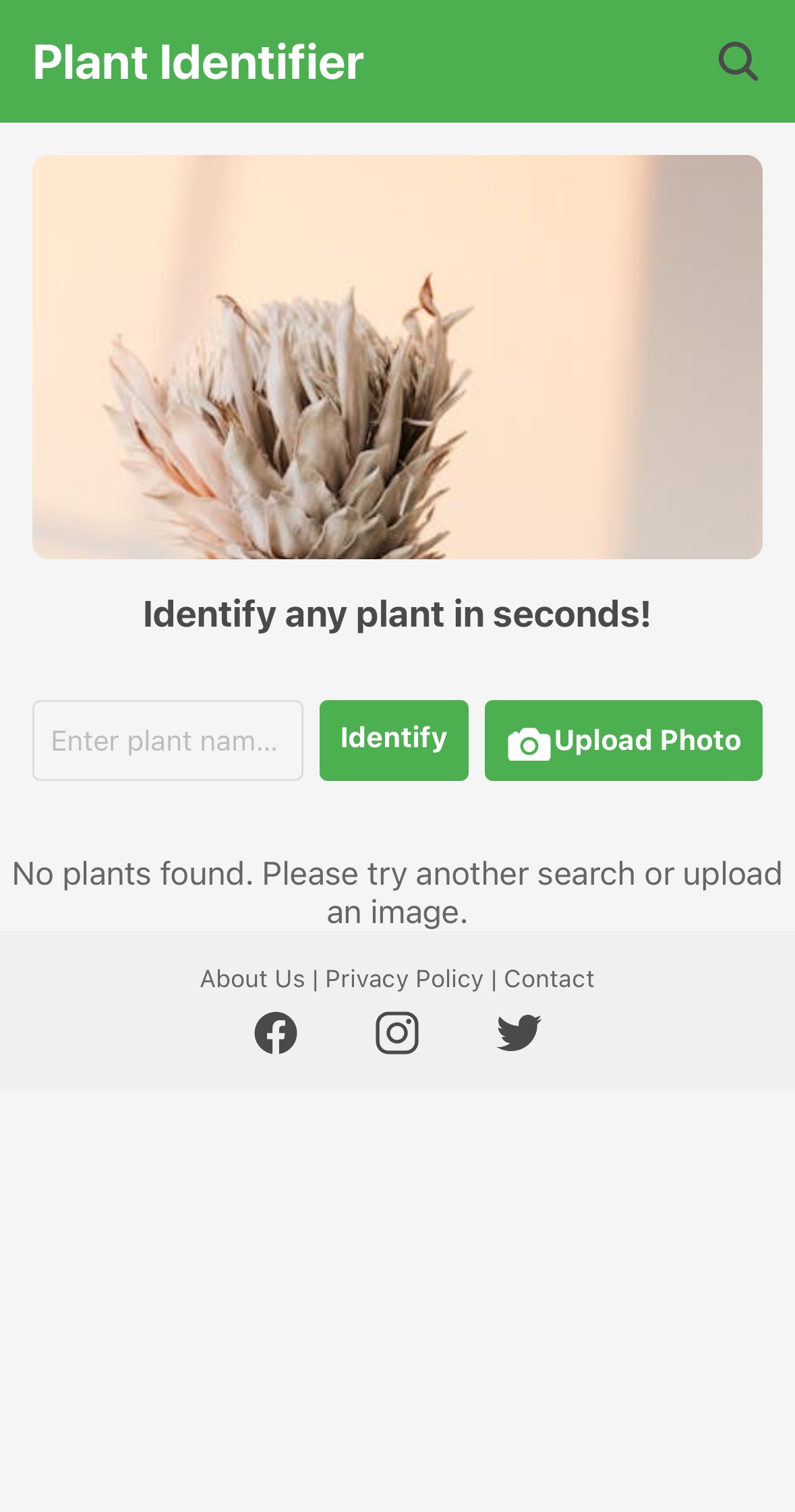 A plant identifier app