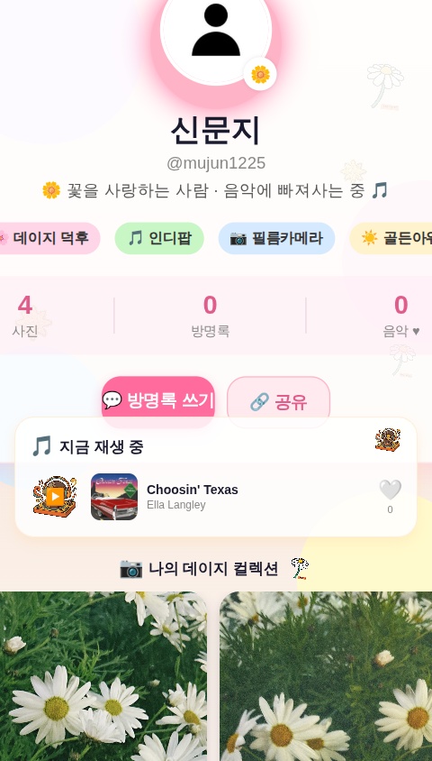 Vibrant Social Spotlight